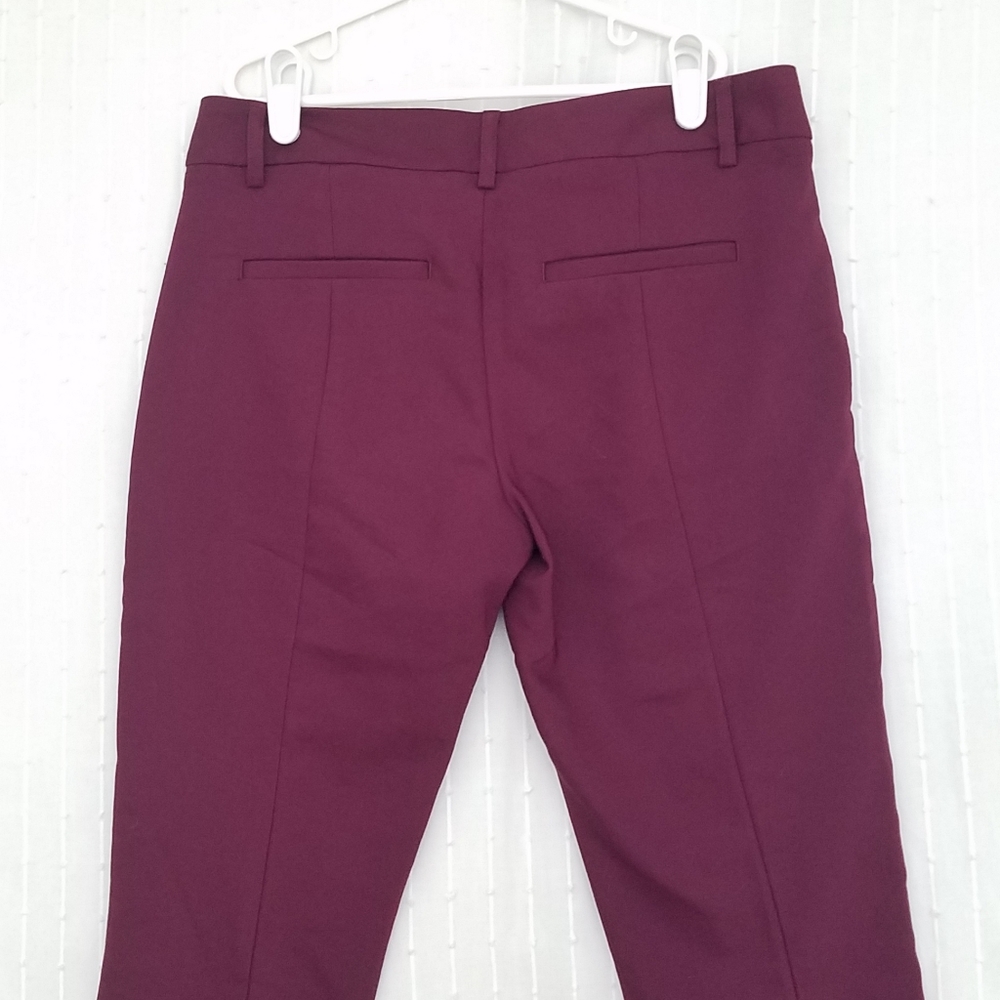 Express Columinst Slacks, EUC - Picture 5 of 5